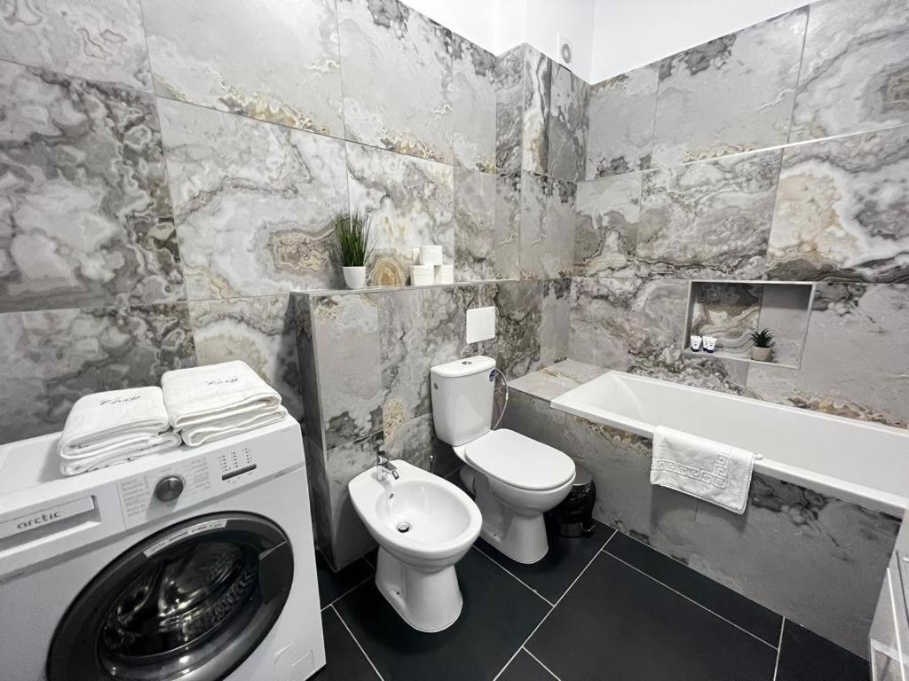 Luxury Cozy Apartment Suceava