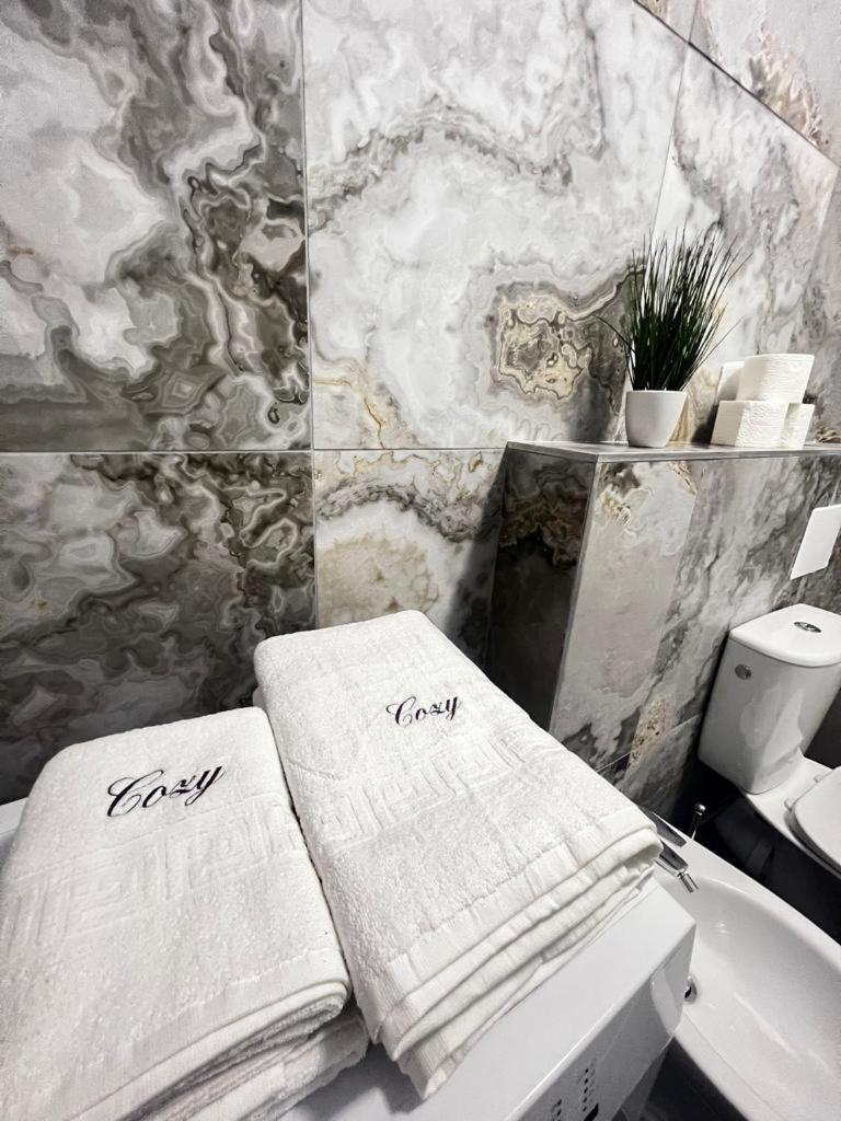 Luxury Cozy Suceava